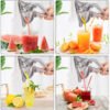 Manual Juice Squeezer Aluminum Alloy Hand Pressure Juicer (3)